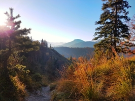 Aussicht im Herbst von der Hochalm mit orangenem Blätterwerk.