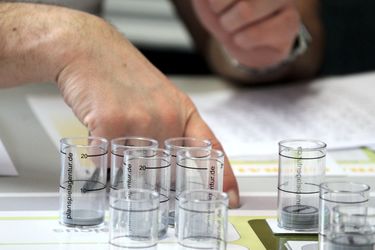 Teilnehmer zeigt auf ein Spielfeld